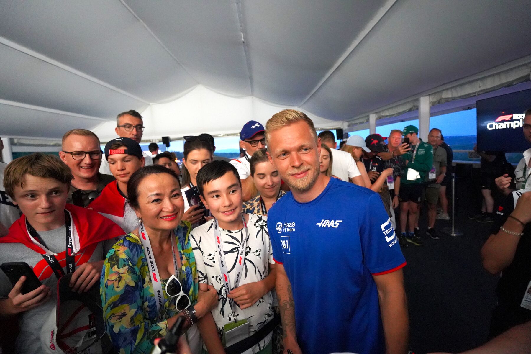 Hungarian f1 race fans