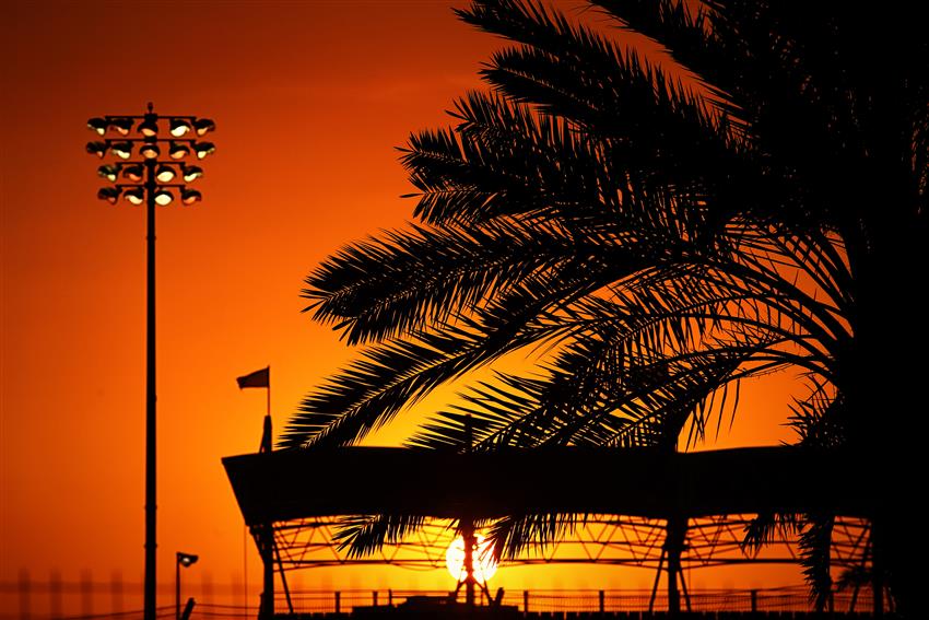 Sunset and palm trees