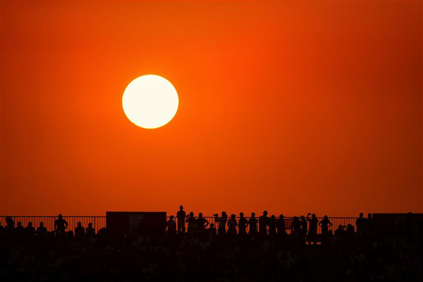 Silhouette of fans