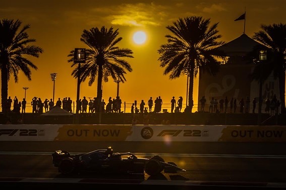 Desert palm trees